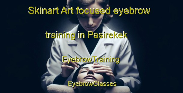 Skinart Art-focused eyebrow training in Pasirekek | EyebrowTraining | EyebrowClasses | SkinartTraining-Indonesia