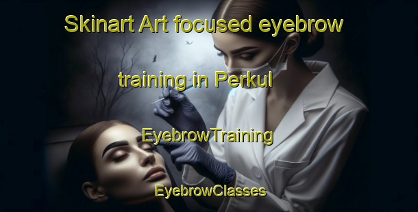 Skinart Art-focused eyebrow training in Perkul | EyebrowTraining | EyebrowClasses | SkinartTraining-Indonesia