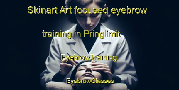 Skinart Art-focused eyebrow training in Pringlimit | EyebrowTraining | EyebrowClasses | SkinartTraining-Indonesia