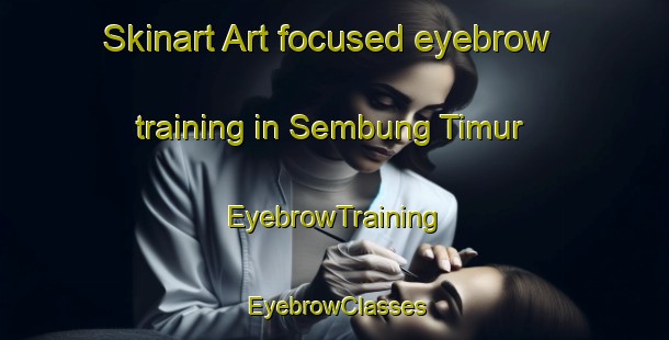 Skinart Art-focused eyebrow training in Sembung Timur | EyebrowTraining | EyebrowClasses | SkinartTraining-Indonesia