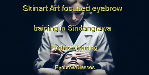 Skinart Art-focused eyebrow training in Sindangrawa | EyebrowTraining | EyebrowClasses | SkinartTraining-Indonesia