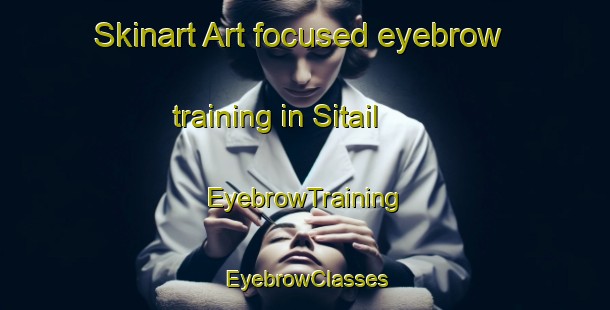 Skinart Art-focused eyebrow training in Sitail | EyebrowTraining | EyebrowClasses | SkinartTraining-Indonesia
