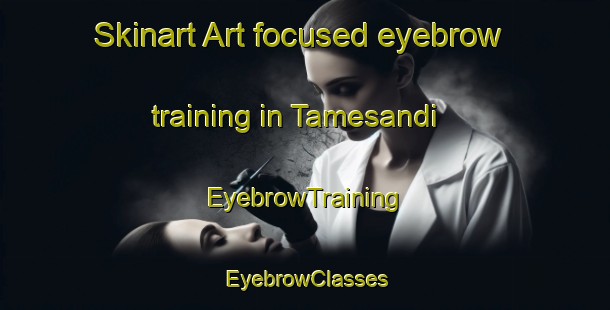 Skinart Art-focused eyebrow training in Tamesandi | EyebrowTraining | EyebrowClasses | SkinartTraining-Indonesia