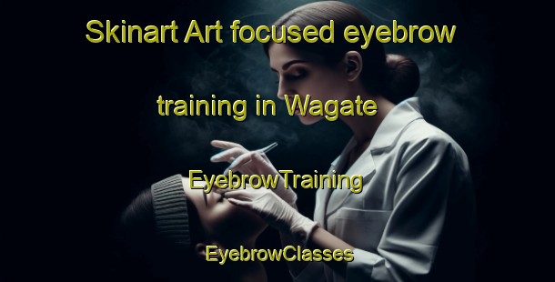 Skinart Art-focused eyebrow training in Wagate | EyebrowTraining | EyebrowClasses | SkinartTraining-Indonesia