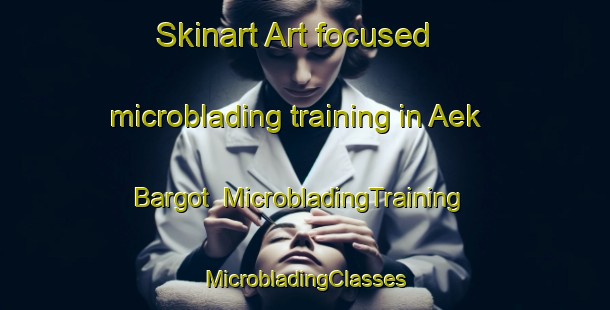 Skinart Art-focused microblading training in Aek Bargot | #MicrobladingTraining #MicrobladingClasses #SkinartTraining-Indonesia