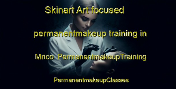 Skinart Art-focused permanentmakeup training in Mrico | PermanentmakeupTraining | PermanentmakeupClasses | SkinartTraining-Indonesia