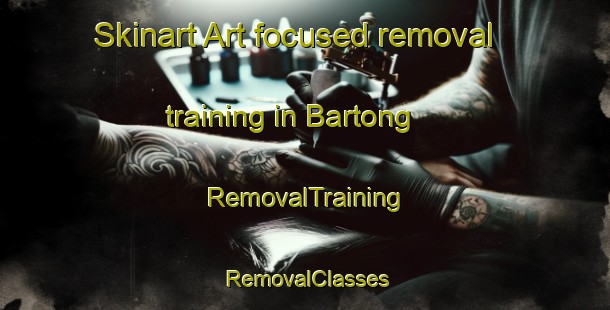 Skinart Art-focused removal training in Bartong | RemovalTraining | RemovalClasses | SkinartTraining-Indonesia
