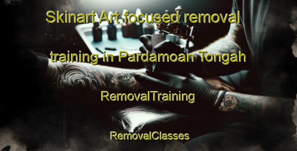 Skinart Art-focused removal training in Pardamoan Tongah | RemovalTraining | RemovalClasses | SkinartTraining-Indonesia
