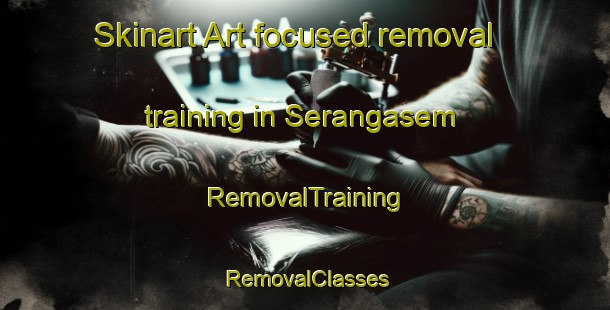 Skinart Art-focused removal training in Serangasem | RemovalTraining | RemovalClasses | SkinartTraining-Indonesia