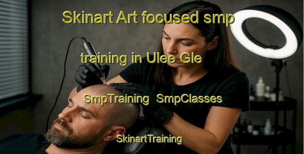 Skinart Art-focused smp training in Ulee Gle | SmpTraining | SmpClasses | SkinartTraining-Indonesia