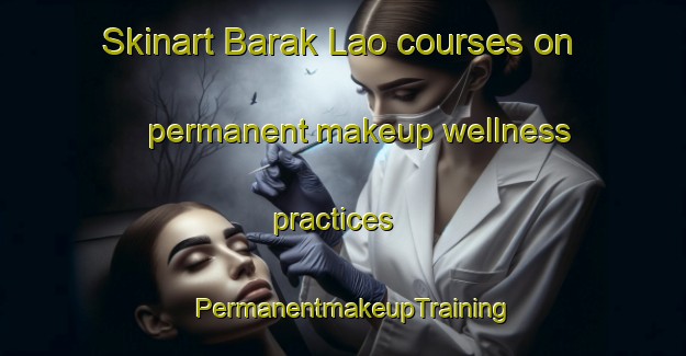 Skinart Barak Lao courses on permanent makeup wellness practices | PermanentmakeupTraining | PermanentmakeupClasses | SkinartTraining-Indonesia