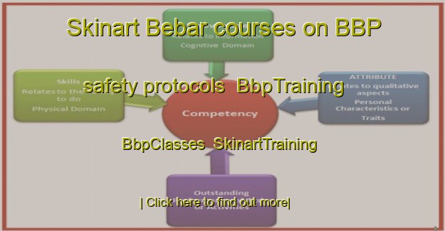 Skinart Bebar courses on BBP safety protocols | BbpTraining | BbpClasses | SkinartTraining-Indonesia