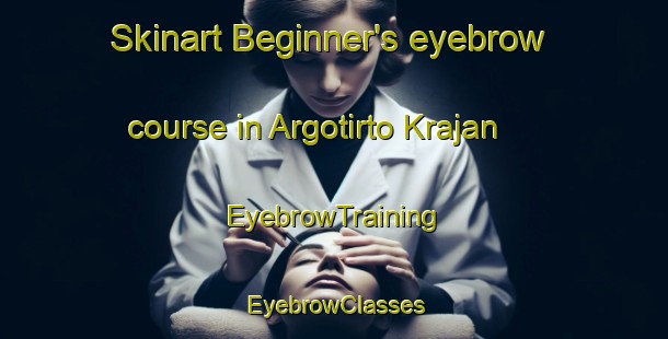 Skinart Beginner's eyebrow course in Argotirto Krajan | EyebrowTraining | EyebrowClasses | SkinartTraining-Indonesia