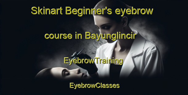 Skinart Beginner's eyebrow course in Bayunglincir | EyebrowTraining | EyebrowClasses | SkinartTraining-Indonesia