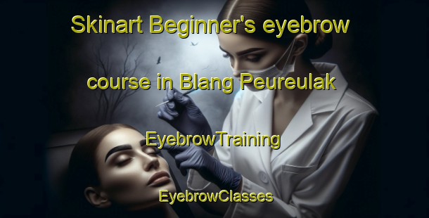 Skinart Beginner's eyebrow course in Blang Peureulak | EyebrowTraining | EyebrowClasses | SkinartTraining-Indonesia