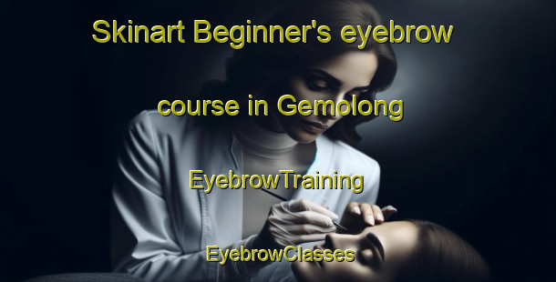 Skinart Beginner's eyebrow course in Gemolong | EyebrowTraining | EyebrowClasses | SkinartTraining-Indonesia