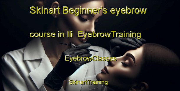 Skinart Beginner's eyebrow course in Ili | EyebrowTraining | EyebrowClasses | SkinartTraining-Indonesia