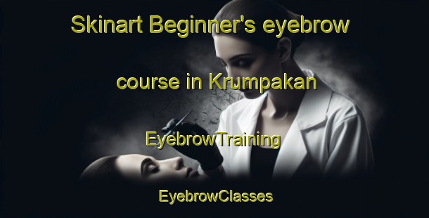 Skinart Beginner's eyebrow course in Krumpakan | EyebrowTraining | EyebrowClasses | SkinartTraining-Indonesia