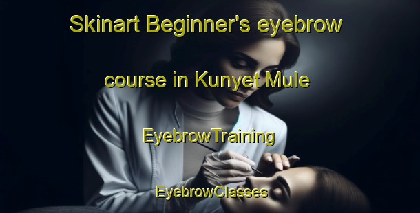 Skinart Beginner's eyebrow course in Kunyet Mule | EyebrowTraining | EyebrowClasses | SkinartTraining-Indonesia