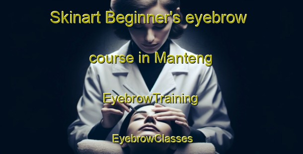 Skinart Beginner's eyebrow course in Manteng | EyebrowTraining | EyebrowClasses | SkinartTraining-Indonesia