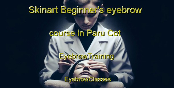 Skinart Beginner's eyebrow course in Paru Cot | EyebrowTraining | EyebrowClasses | SkinartTraining-Indonesia