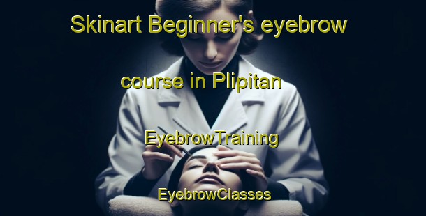 Skinart Beginner's eyebrow course in Plipitan | EyebrowTraining | EyebrowClasses | SkinartTraining-Indonesia