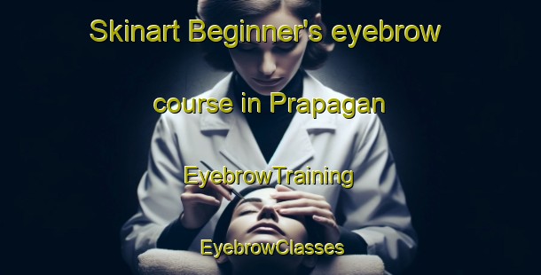 Skinart Beginner's eyebrow course in Prapagan | EyebrowTraining | EyebrowClasses | SkinartTraining-Indonesia