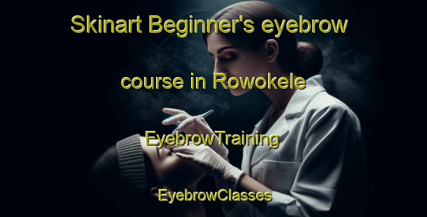 Skinart Beginner's eyebrow course in Rowokele | EyebrowTraining | EyebrowClasses | SkinartTraining-Indonesia