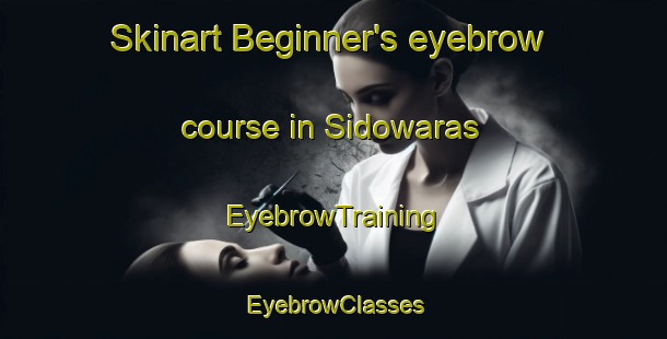 Skinart Beginner's eyebrow course in Sidowaras | EyebrowTraining | EyebrowClasses | SkinartTraining-Indonesia