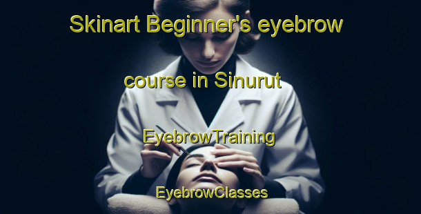 Skinart Beginner's eyebrow course in Sinurut | EyebrowTraining | EyebrowClasses | SkinartTraining-Indonesia