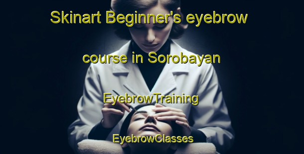 Skinart Beginner's eyebrow course in Sorobayan | EyebrowTraining | EyebrowClasses | SkinartTraining-Indonesia