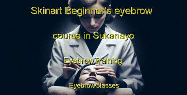 Skinart Beginner's eyebrow course in Sukanayo | EyebrowTraining | EyebrowClasses | SkinartTraining-Indonesia