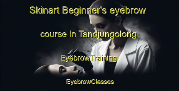Skinart Beginner's eyebrow course in Tandjungolong | EyebrowTraining | EyebrowClasses | SkinartTraining-Indonesia