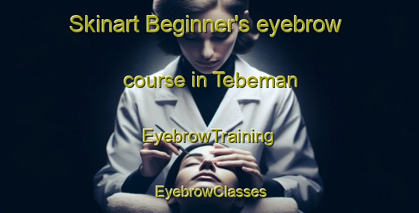 Skinart Beginner's eyebrow course in Tebeman | EyebrowTraining | EyebrowClasses | SkinartTraining-Indonesia