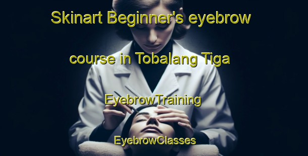 Skinart Beginner's eyebrow course in Tobalang Tiga | EyebrowTraining | EyebrowClasses | SkinartTraining-Indonesia