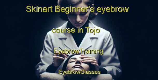 Skinart Beginner's eyebrow course in Tojo | EyebrowTraining | EyebrowClasses | SkinartTraining-Indonesia