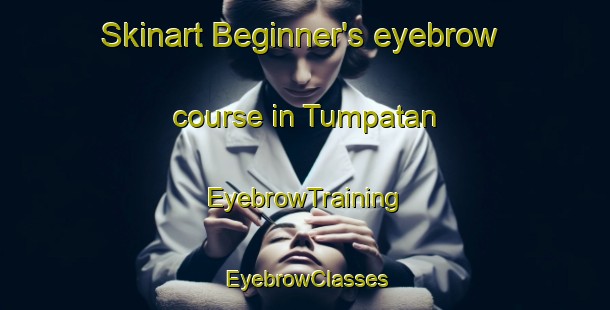 Skinart Beginner's eyebrow course in Tumpatan | EyebrowTraining | EyebrowClasses | SkinartTraining-Indonesia