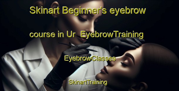 Skinart Beginner's eyebrow course in Ur | EyebrowTraining | EyebrowClasses | SkinartTraining-Indonesia