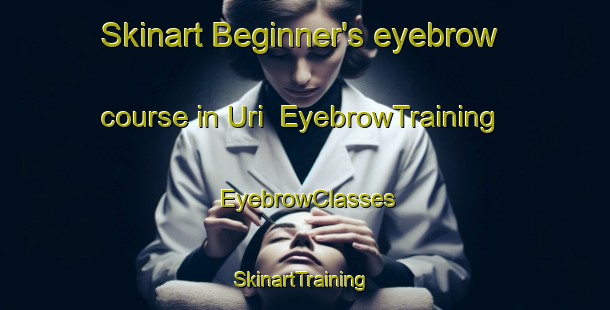 Skinart Beginner's eyebrow course in Uri | EyebrowTraining | EyebrowClasses | SkinartTraining-Indonesia