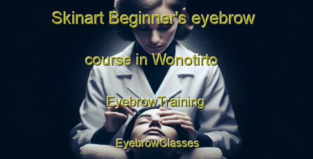 Skinart Beginner's eyebrow course in Wonotirto | EyebrowTraining | EyebrowClasses | SkinartTraining-Indonesia