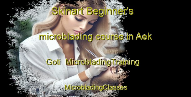 Skinart Beginner's microblading course in Aek Goti | #MicrobladingTraining #MicrobladingClasses #SkinartTraining-Indonesia