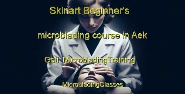 Skinart Beginner's microblading course in Aek Goti | #MicrobladingTraining #MicrobladingClasses #SkinartTraining-Indonesia