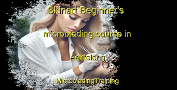 Skinart Beginner's microblading course in Aektolong | #MicrobladingTraining #MicrobladingClasses #SkinartTraining-Indonesia