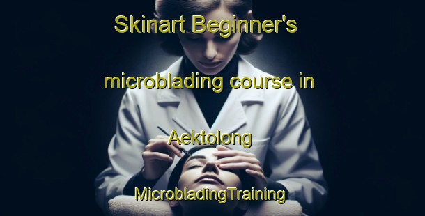 Skinart Beginner's microblading course in Aektolong | #MicrobladingTraining #MicrobladingClasses #SkinartTraining-Indonesia