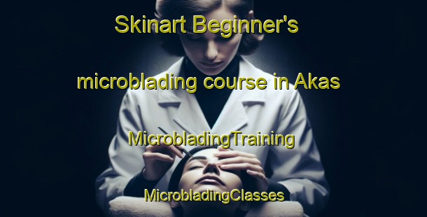 Skinart Beginner's microblading course in Akas | #MicrobladingTraining #MicrobladingClasses #SkinartTraining-Indonesia