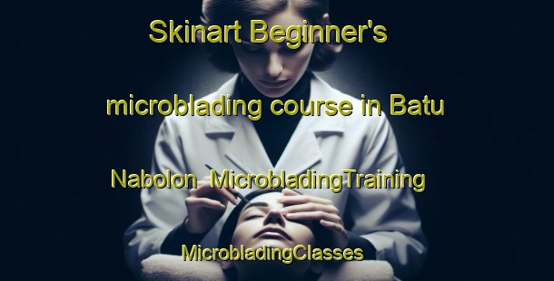 Skinart Beginner's microblading course in Batu Nabolon | MicrobladingTraining | MicrobladingClasses | SkinartTraining-Indonesia