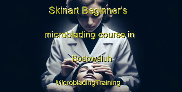 Skinart Beginner's microblading course in Bodowaluh | MicrobladingTraining | MicrobladingClasses | SkinartTraining-Indonesia