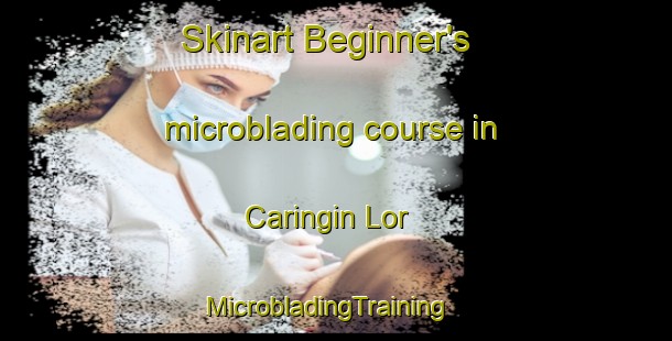 Skinart Beginner's microblading course in Caringin Lor | MicrobladingTraining | MicrobladingClasses | SkinartTraining-Indonesia