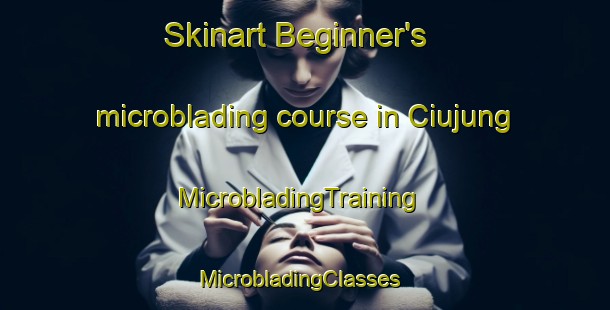 Skinart Beginner's microblading course in Ciujung | MicrobladingTraining | MicrobladingClasses | SkinartTraining-Indonesia