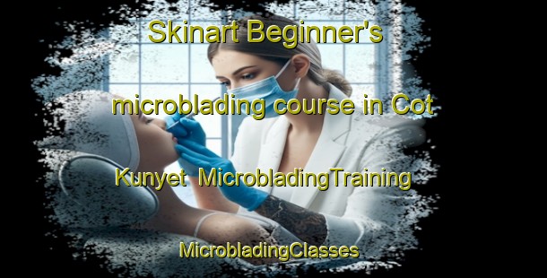 Skinart Beginner's microblading course in Cot Kunyet | MicrobladingTraining | MicrobladingClasses | SkinartTraining-Indonesia